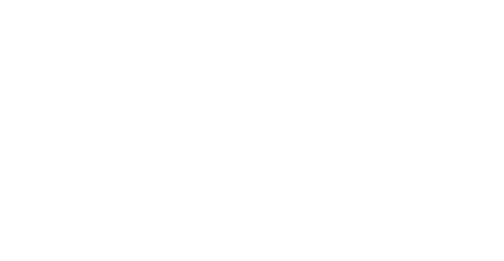 Smart Storage Systems Logo